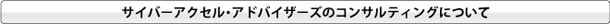 サイバーアクセル・アドバイザーズのコンサルティングについて
